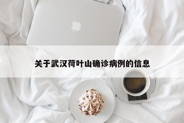 关于武汉荷叶山确诊病例的信息